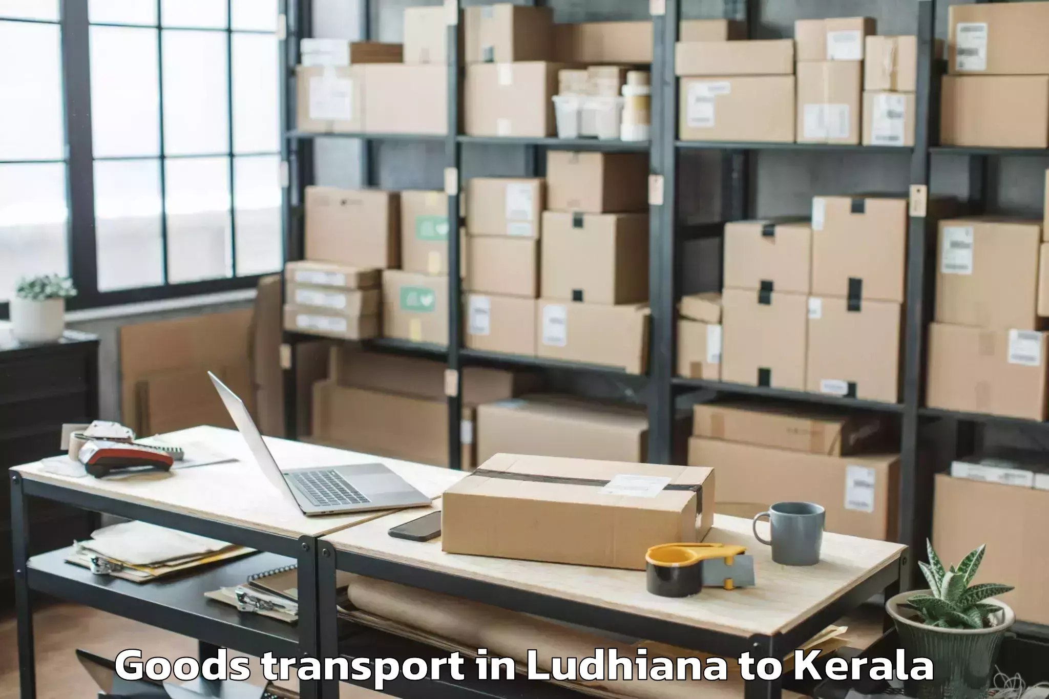 Top Ludhiana to Y Mall Thriprayar Goods Transport Available